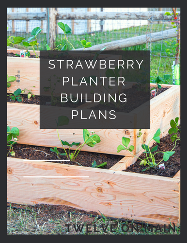 Strawberry Planter Digital Plans